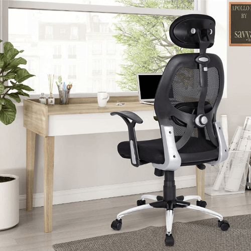 Savya Home APEX office chairs for back pain